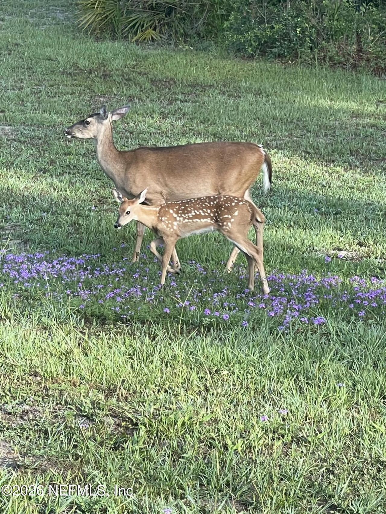 29065 Yellow Oak Court, Hilliard, FL 32046 Photo