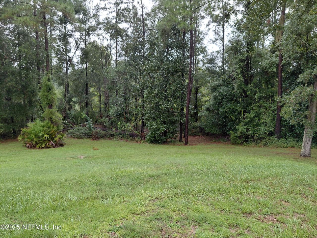 29065 Yellow Oak Court, Hilliard, FL 32046 Photo