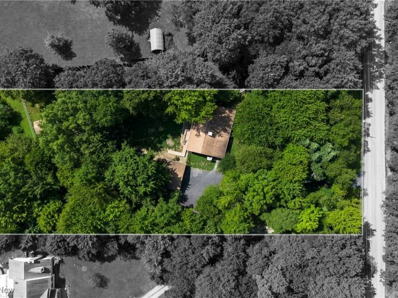 6343 Gibson Road, Canfield, OH 44406 Photo 3