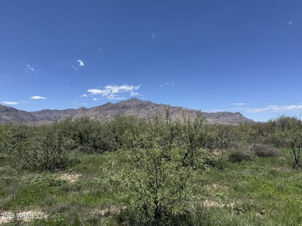39.6 Acres W Paulo Rose Drive, Unit 2, Portal, AZ 85632