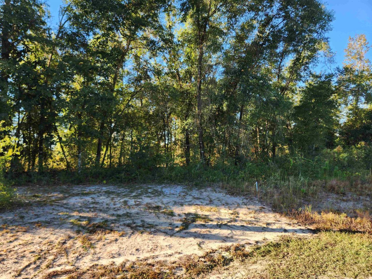 Xxx NE Sr 20, Hosford, FL 32334 Photo