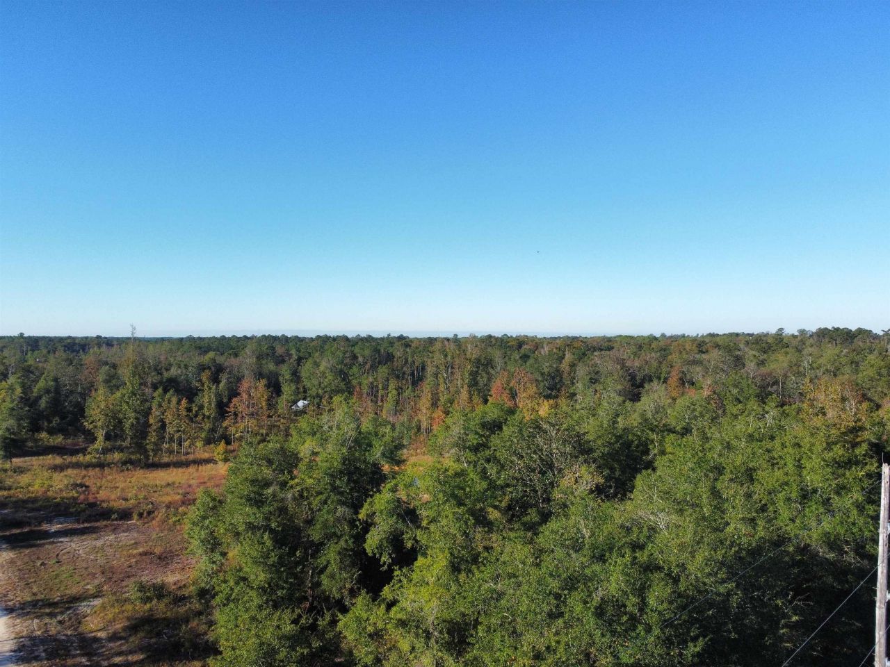 Xxx NE Sr 20, Hosford, FL 32334 Photo