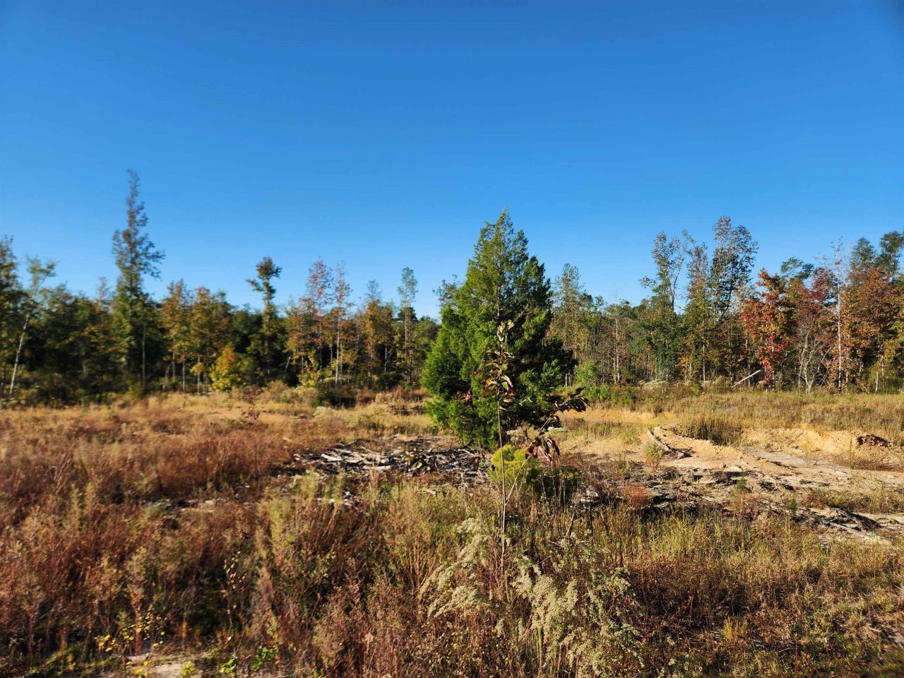 Xxx NE Sr 20, Hosford, FL 32334 Photo
