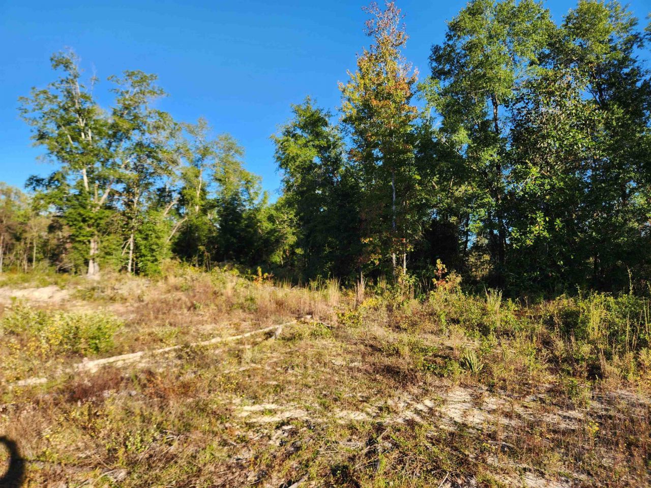 Xxx NE Sr 20, Hosford, FL 32334 Photo