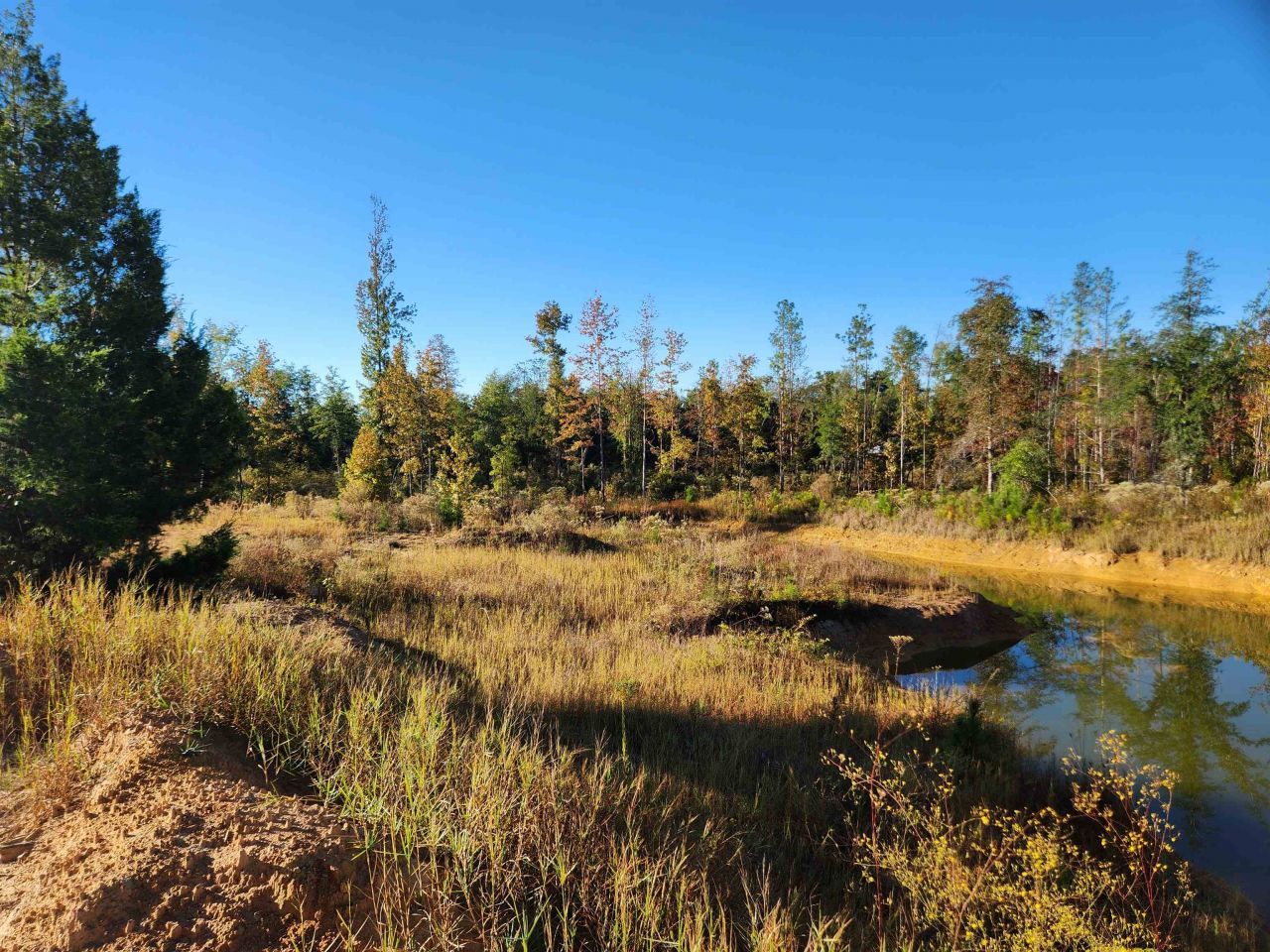 Xxx NE Sr 20, Hosford, FL 32334 Photo