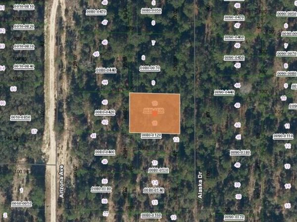 231 ALASKA DRIVE, HAWTHORNE, FL 32640