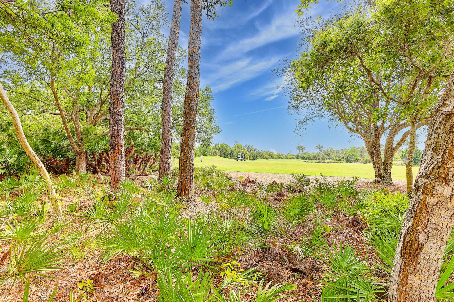 12831 NW Cinnamon Way, Palm City, FL 34990 Photo