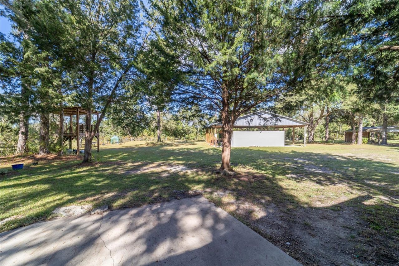 6570 NE 172nd Court, Williston, FL 32696 Photo