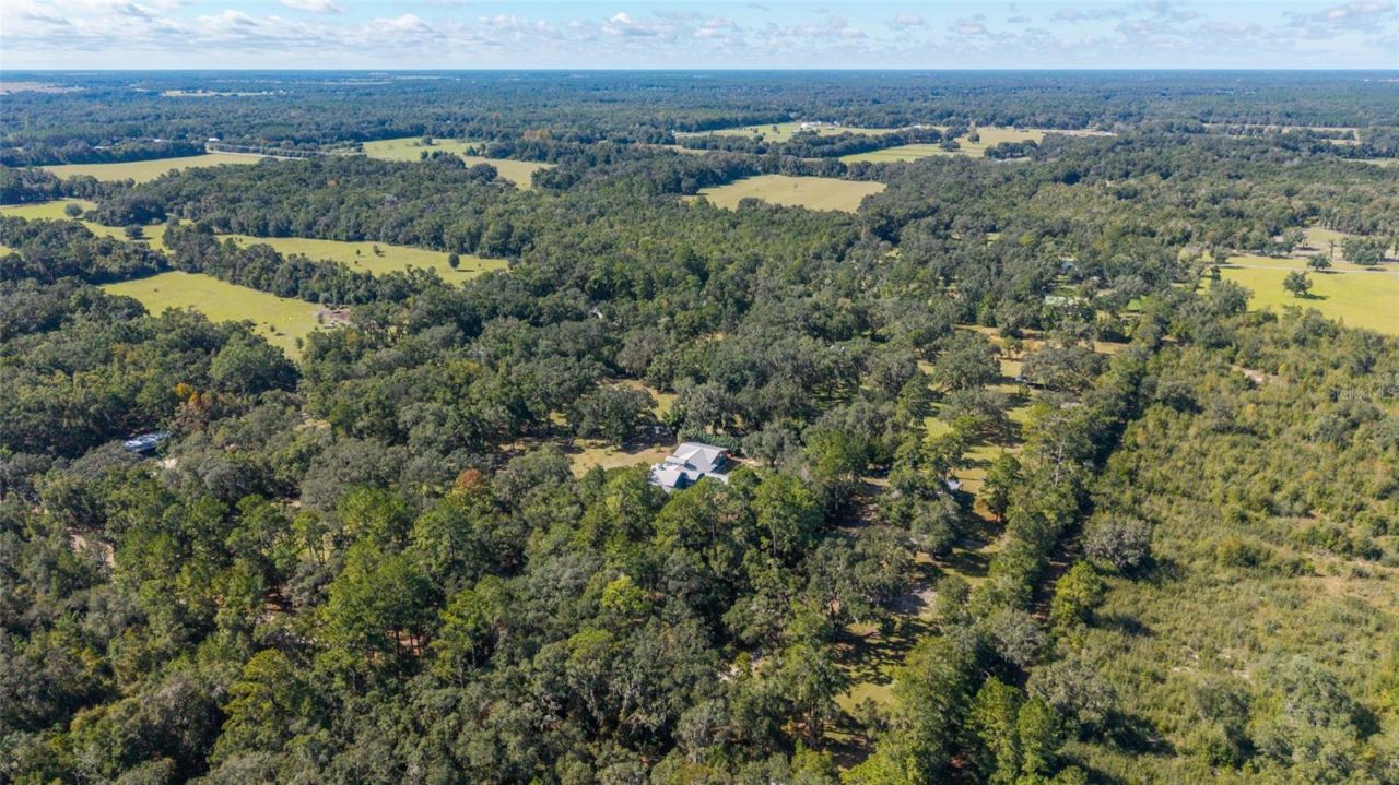 6570 NE 172nd Court, Williston, FL 32696 Photo