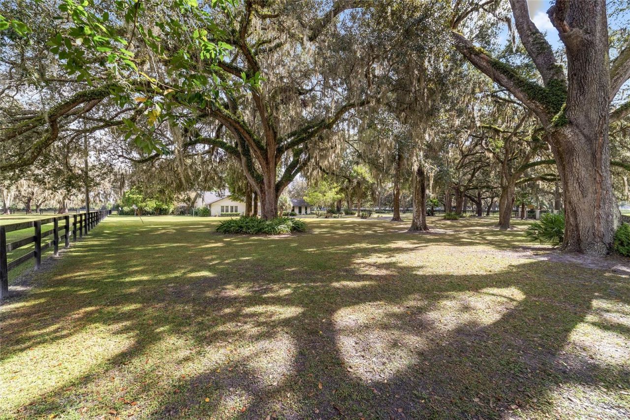 12943 County Road 245e, Oxford, FL 34484 Photo