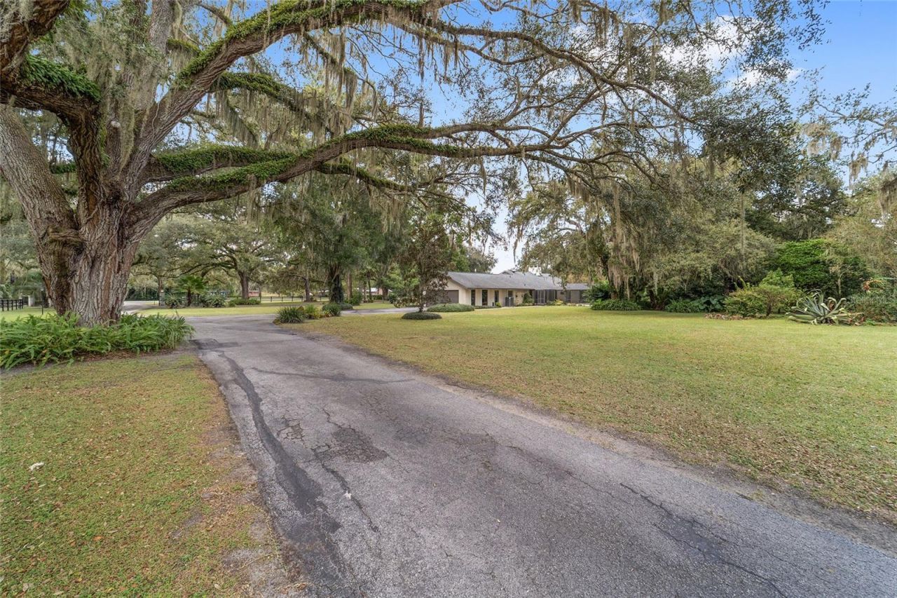 12943 County Road 245e, Oxford, FL 34484 Photo