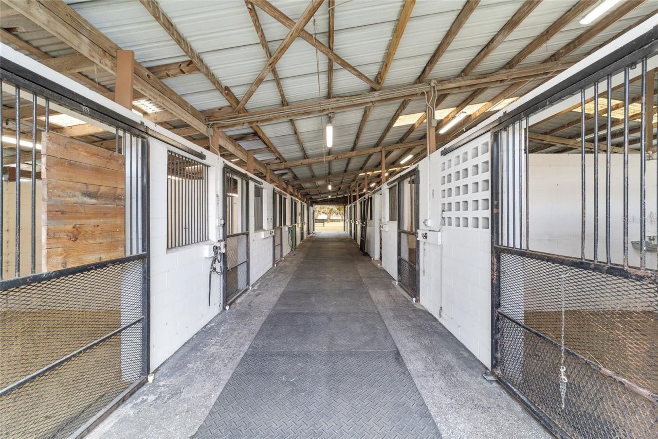 12943 County Road 245e, Oxford, FL 34484 Photo