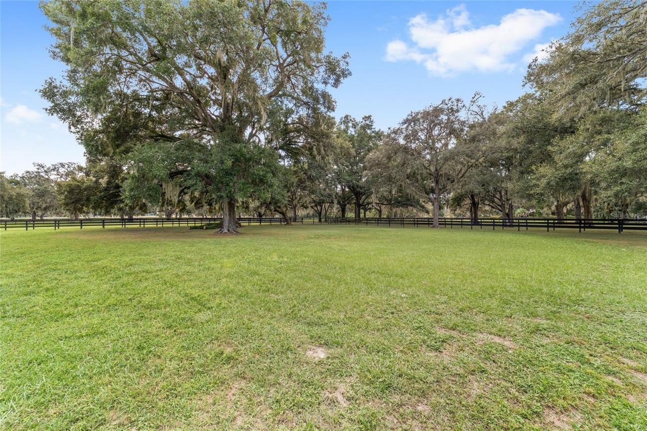 12943 County Road 245e, Oxford, FL 34484 Photo