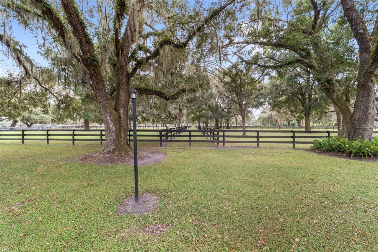 12943 County Road 245e, Oxford, FL 34484 Photo