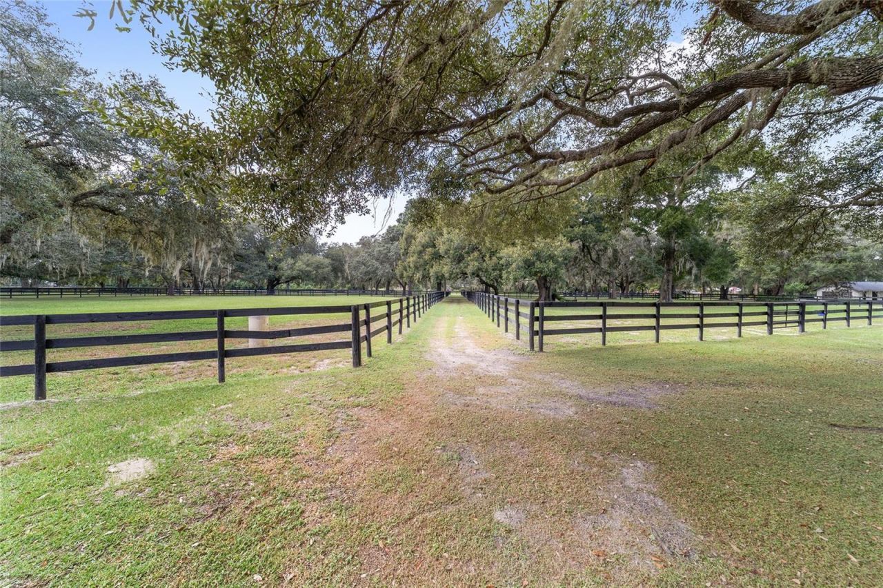 12943 County Road 245e, Oxford, FL 34484 Photo
