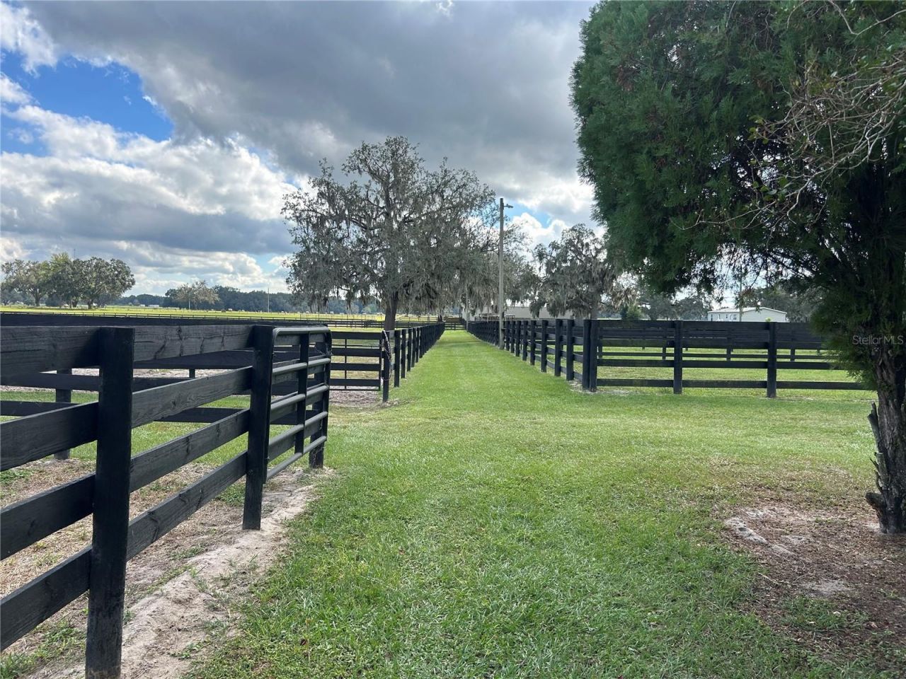 12943 County Road 245e, Oxford, FL 34484 Photo