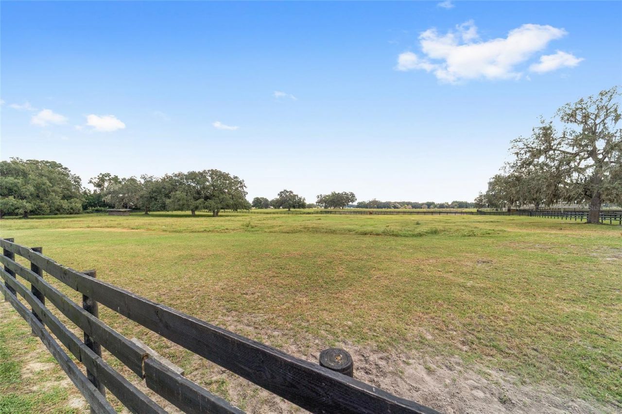 12943 County Road 245e, Oxford, FL 34484 Photo