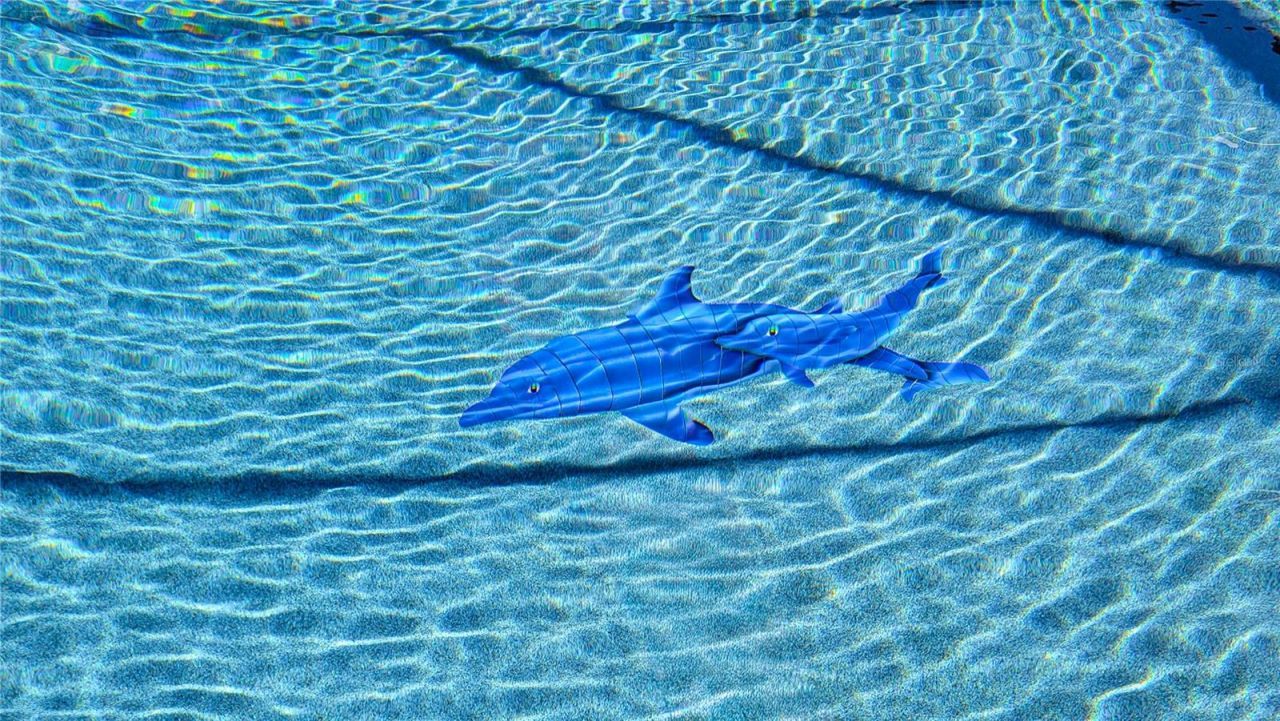 16475 Kids Ave, Weeki Wachee, FL 34614 Photo