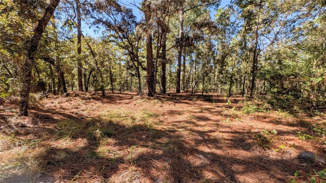 16475 Kids Ave, Weeki Wachee, FL 34614 Photo