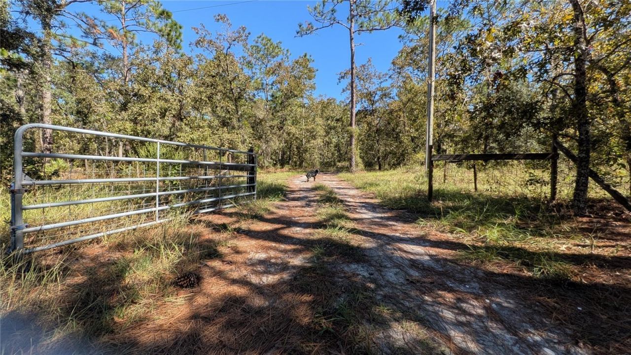 16475 Kids Ave, Weeki Wachee, FL 34614 Photo