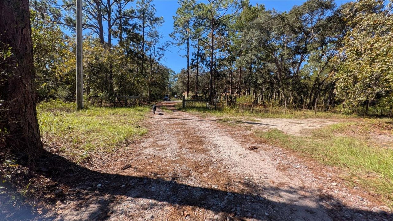 16475 Kids Ave, Weeki Wachee, FL 34614 Photo