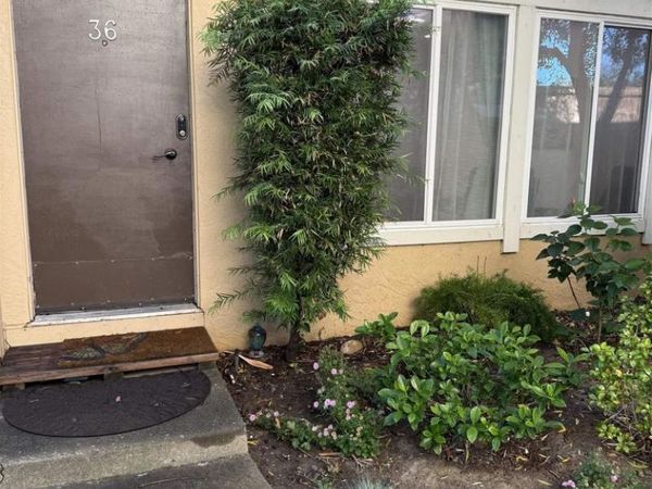 3055 3055 Treat Blvd, Unit 36, Concord, CA 94518
