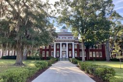 212 Blue Wing Court photo 4