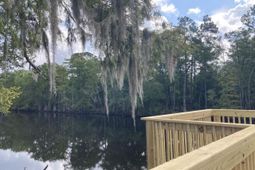 212 Blue Wing Court photo 4