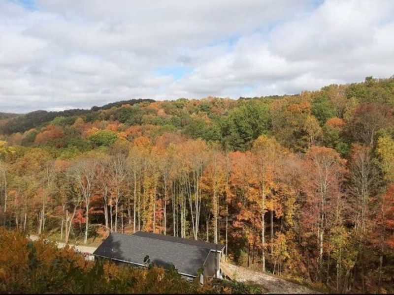 24796 E Fork Road, Laurelville, OH 43135 Photo 2