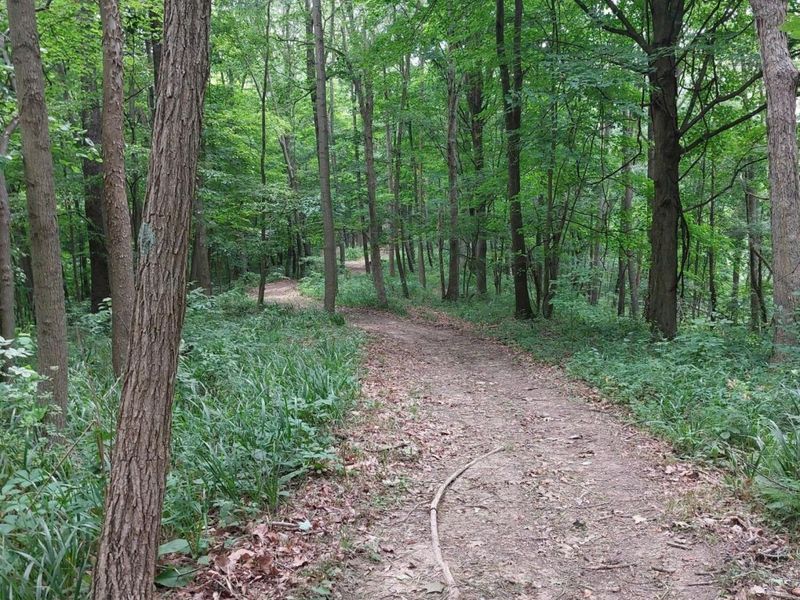 24796 E Fork Road, Laurelville, OH 43135 Photo 32