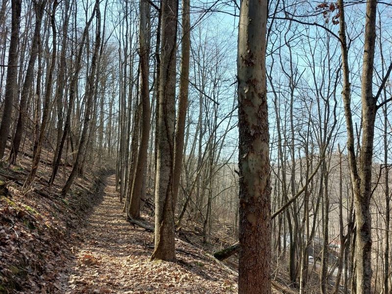 24796 E Fork Road, Laurelville, OH 43135 Photo 33