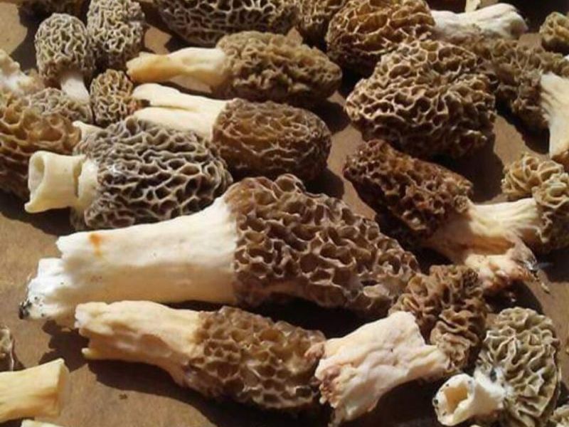 24796 E Fork Road, Laurelville, OH 43135 Photo 34