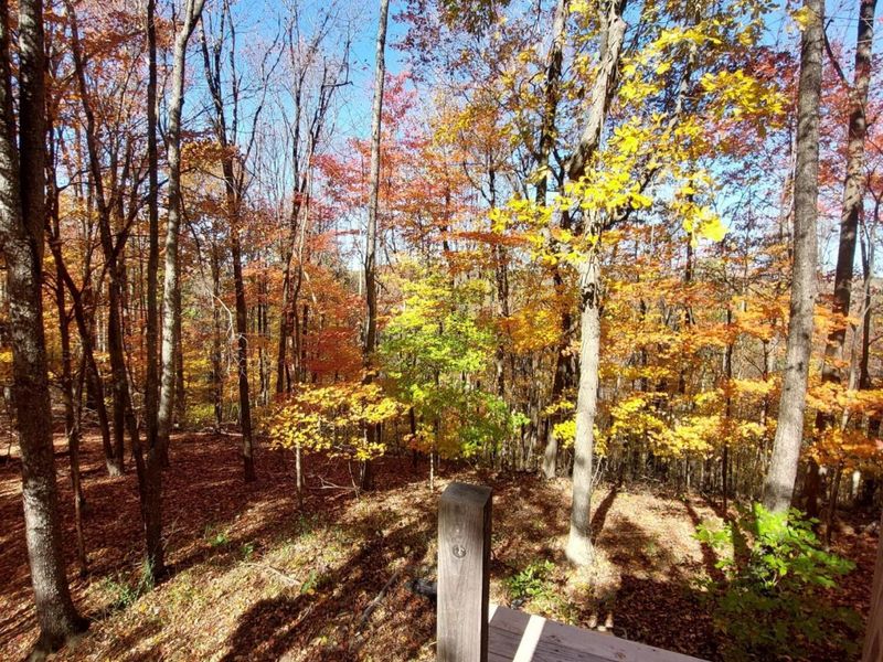 24796 E Fork Road, Laurelville, OH 43135 Photo 36