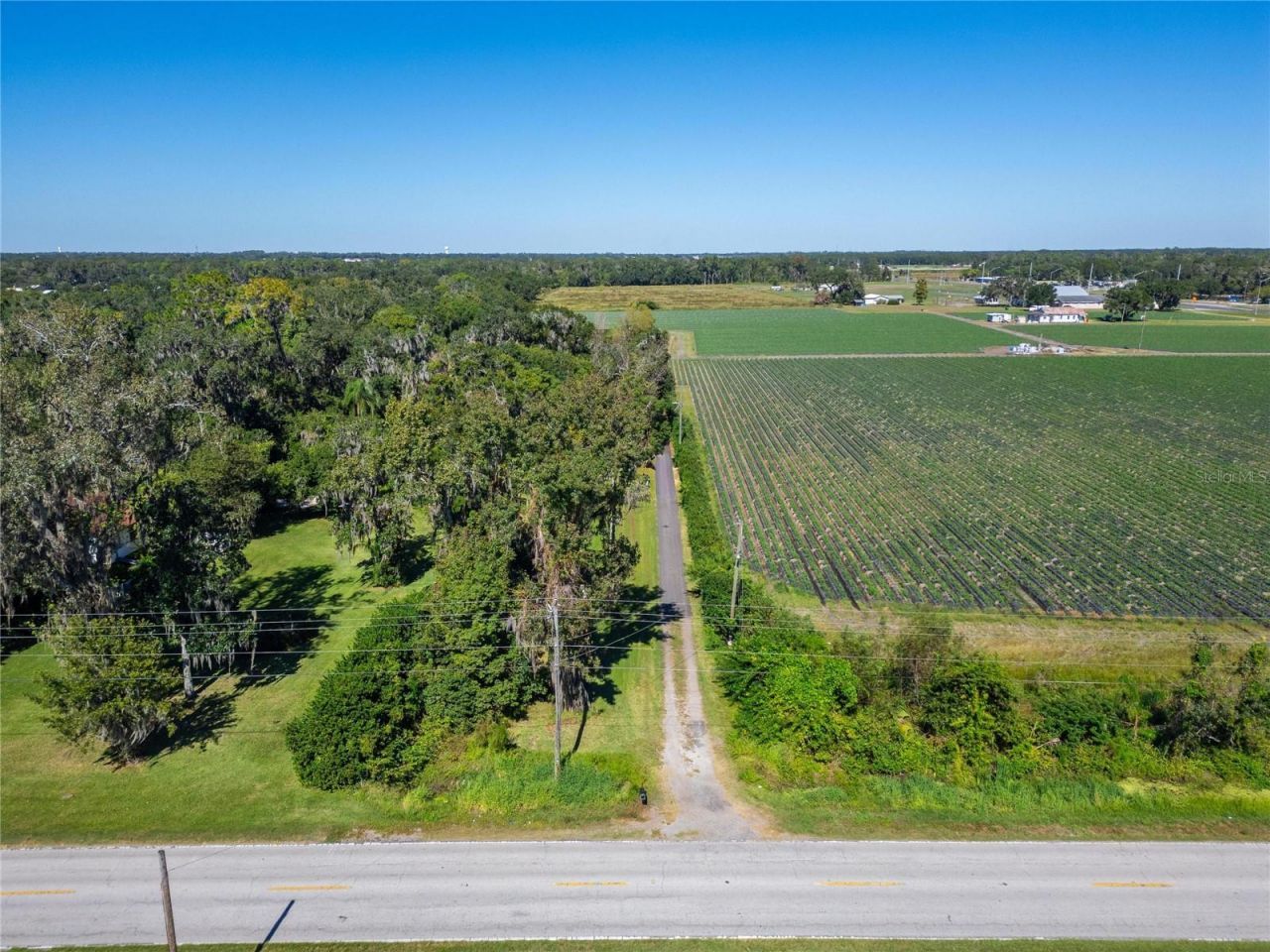 332 Holloway Road, Plant City, FL 33567 Photo