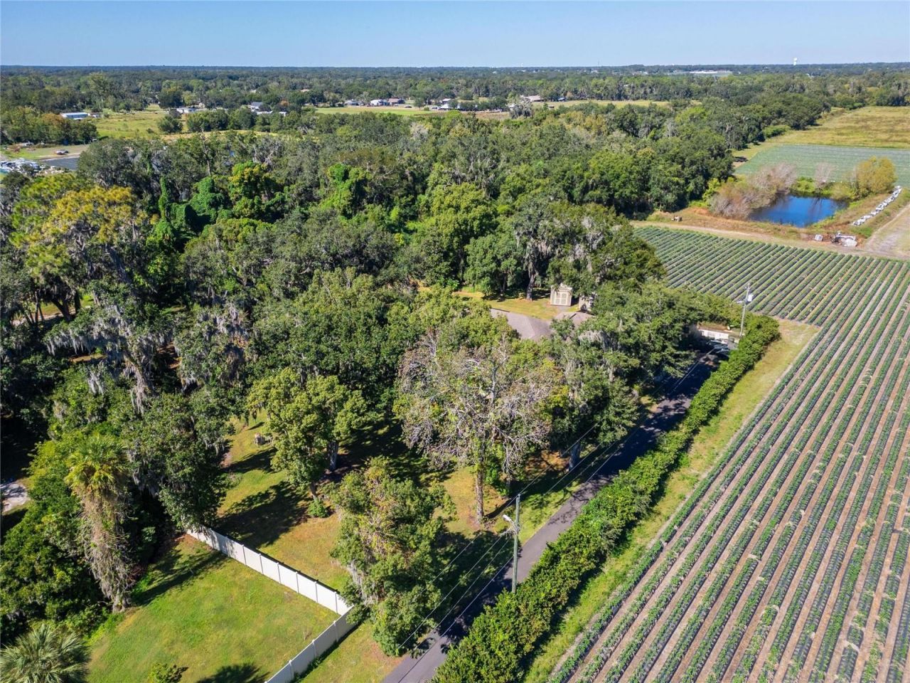 332 Holloway Road, Plant City, FL 33567 Photo