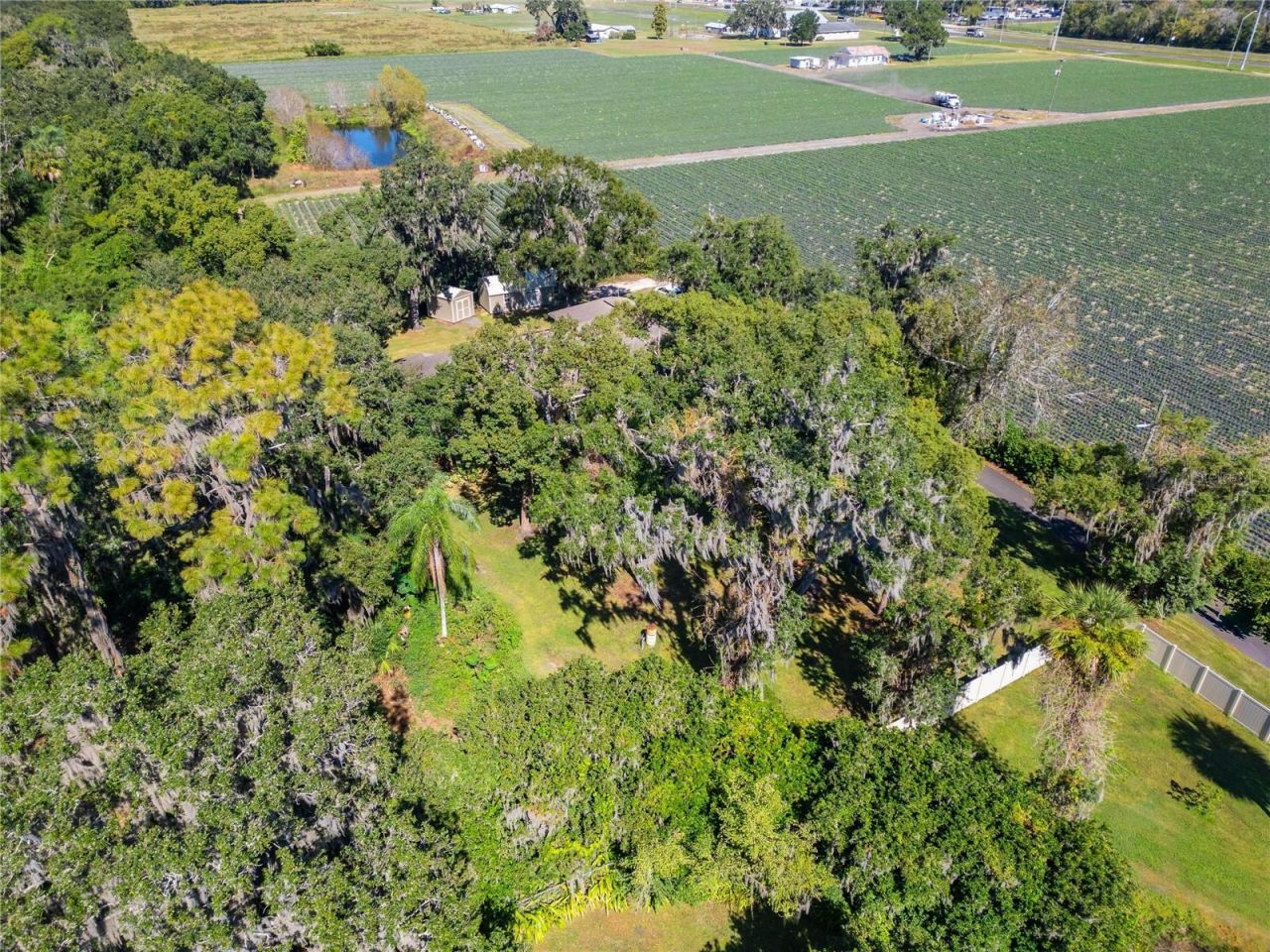 332 Holloway Road, Plant City, FL 33567 Photo