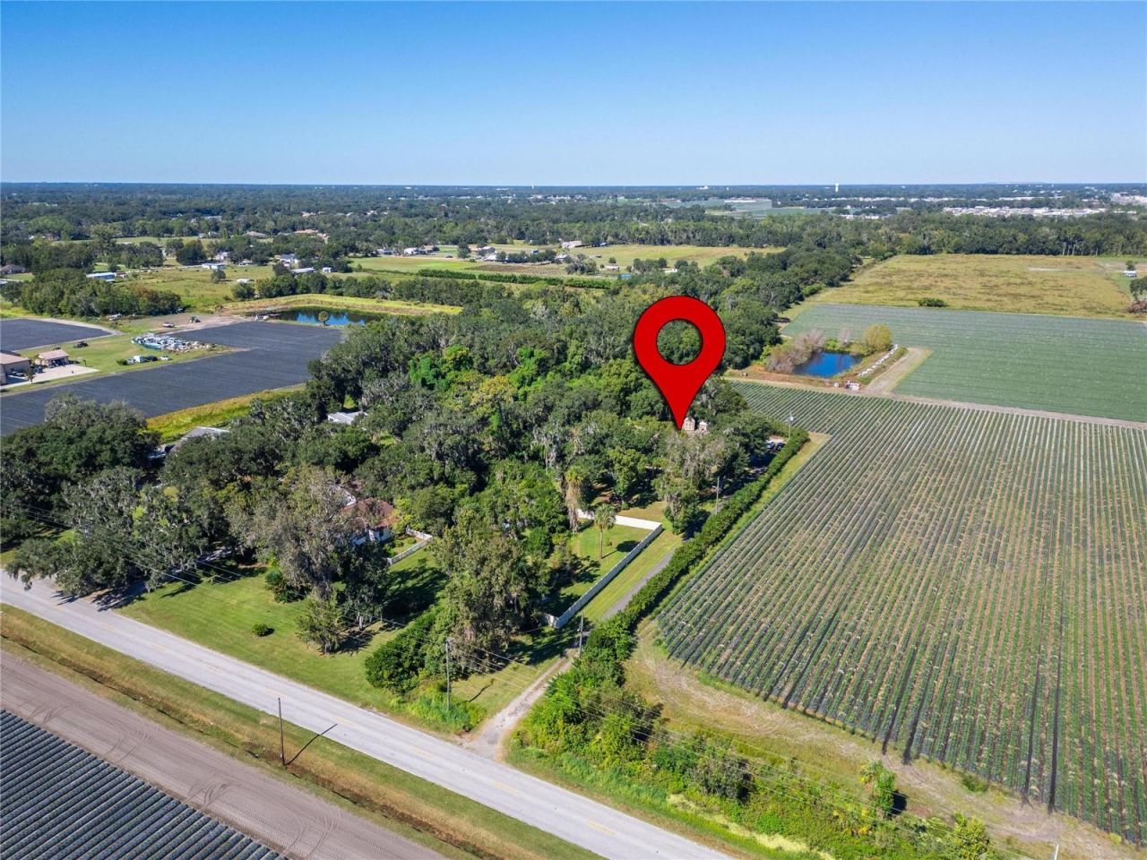 332 Holloway Road, Plant City, FL 33567 Photo