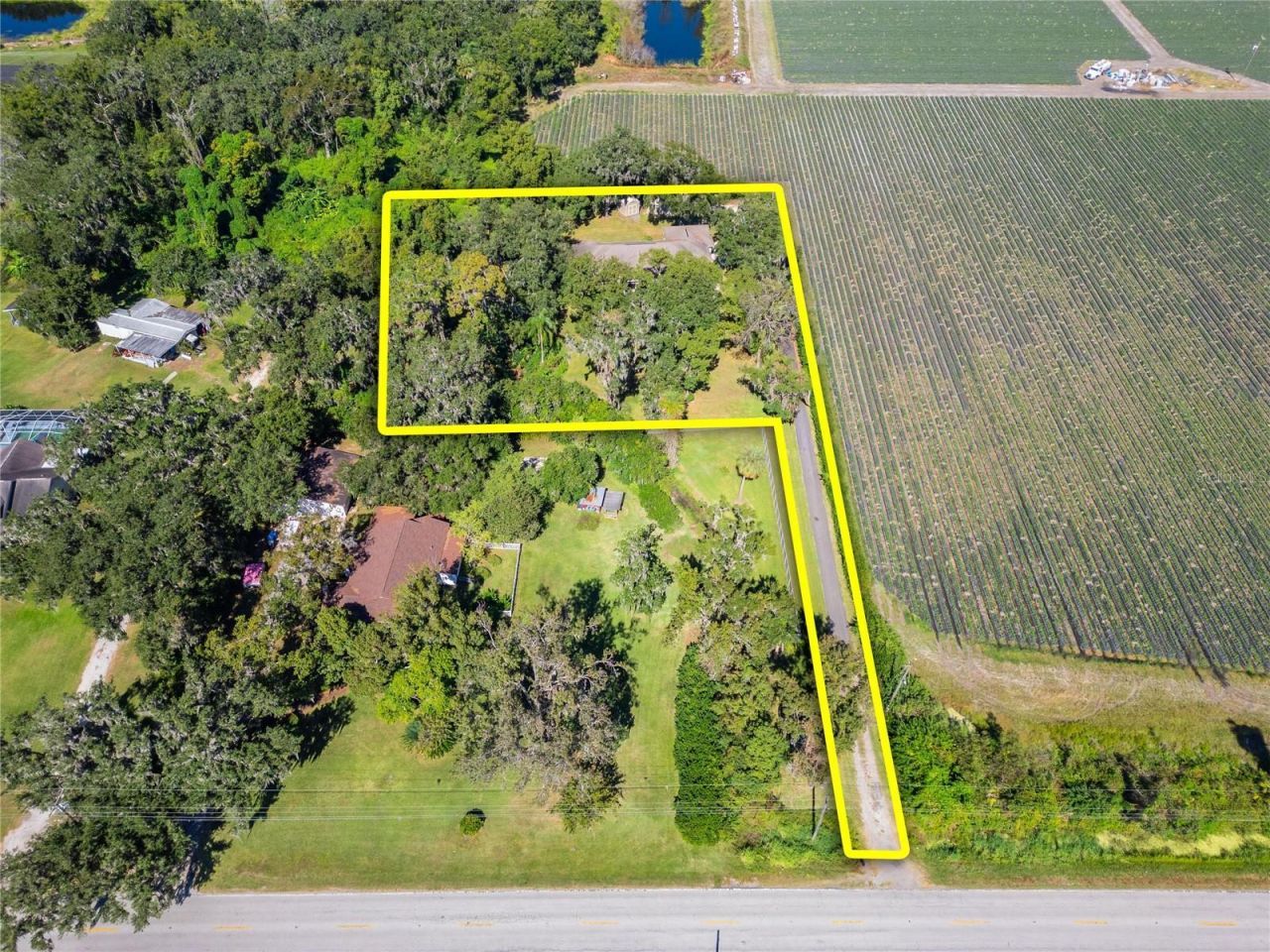 332 Holloway Road, Plant City, FL 33567 Photo