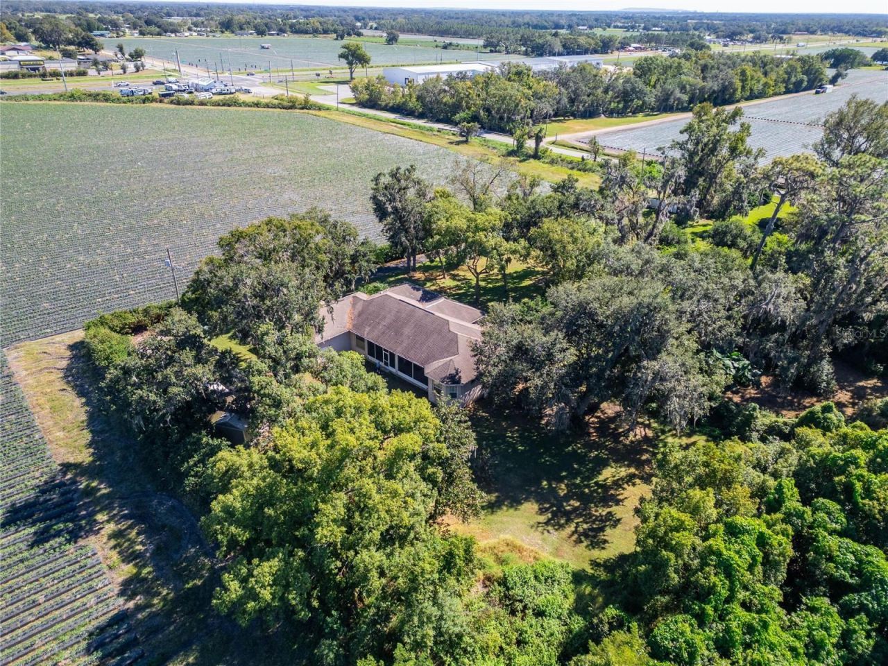 332 Holloway Road, Plant City, FL 33567 Photo