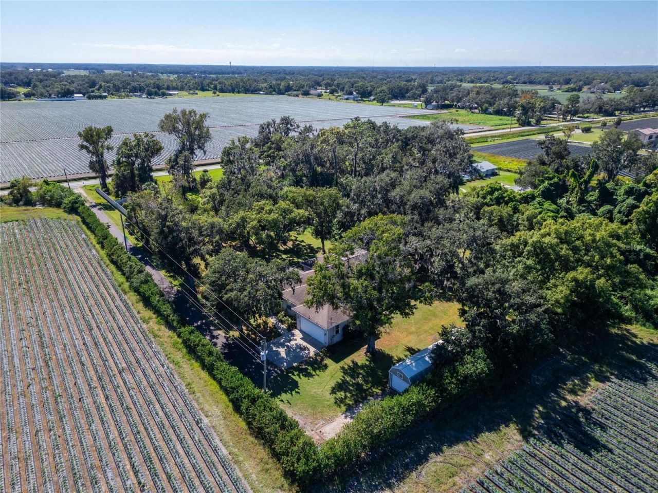 332 Holloway Road, Plant City, FL 33567 Photo