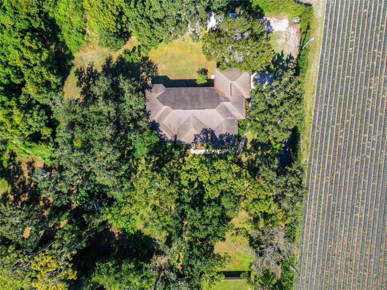 332 Holloway Road, Plant City, FL 33567 Photo