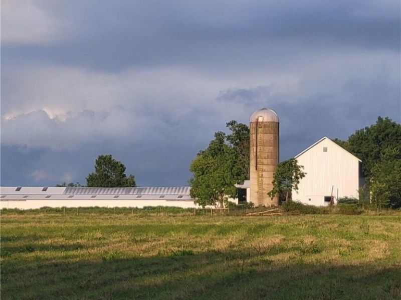 7785 Jewell Greenville Road, Kinsman, OH 44428 Photo 7