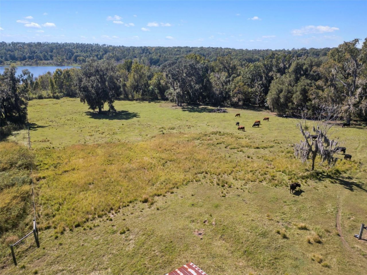 32854 Lister Road, Dade City, FL 33523 Photo