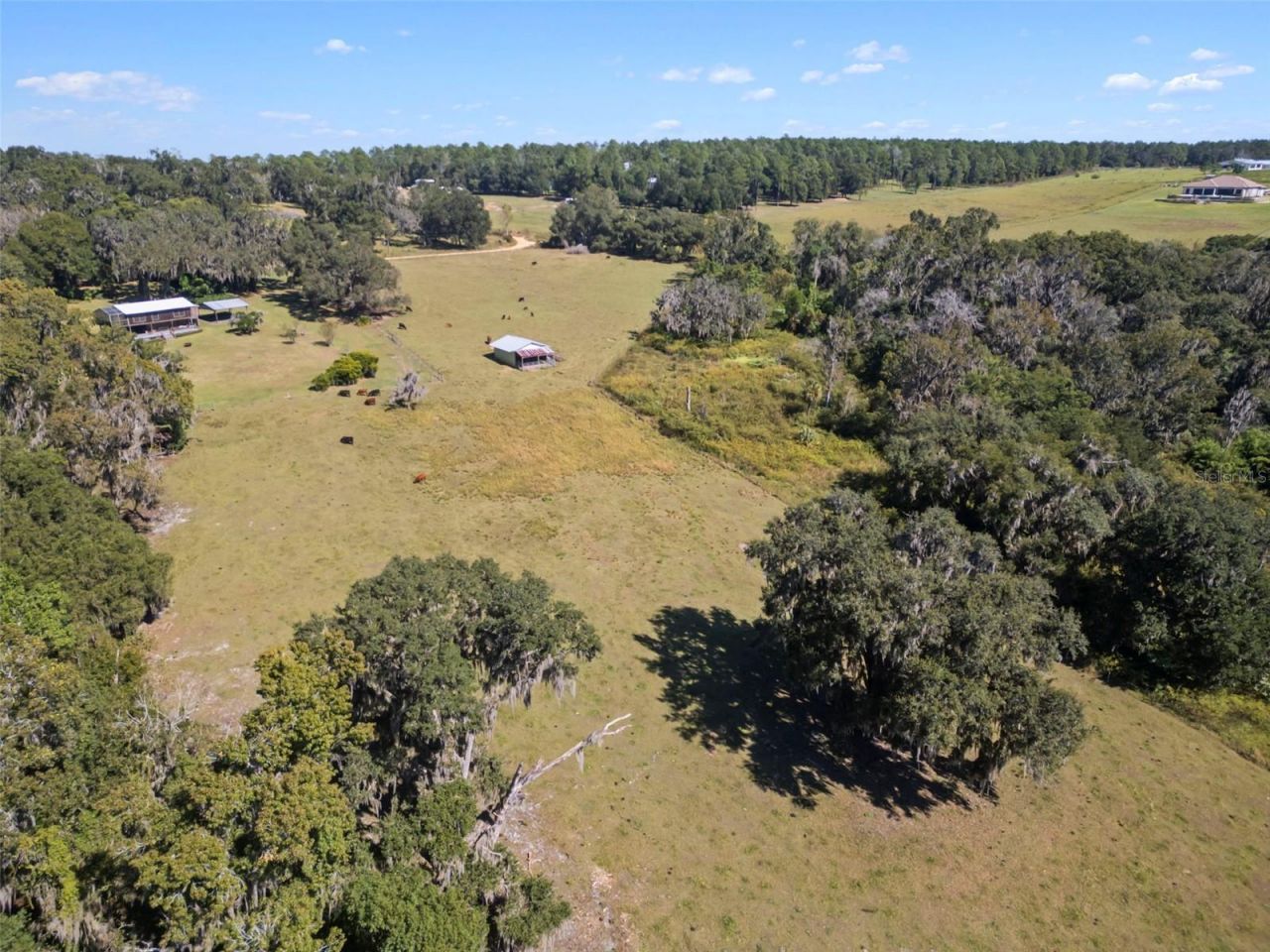 32854 Lister Road, Dade City, FL 33523 Photo