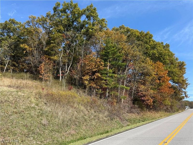 State Route 646, Richmond, OH 43944 Photo 3