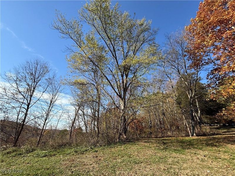 State Route 646, Richmond, OH 43944 Photo 4