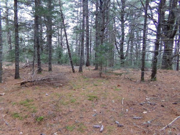 Lot 3E Rogers Point Road, Steuben, ME 04680