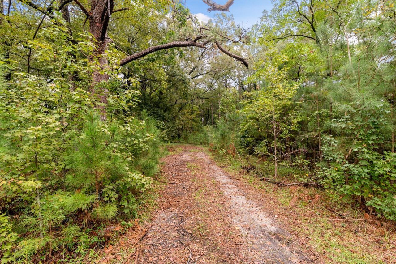 140 Gallashaw Road Photo 23