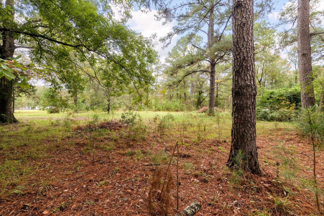 140 Gallashaw Road Photo 25