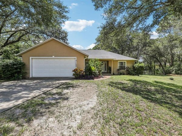 31154 LOCHMORE CIRCLE, SORRENTO, FL 32776